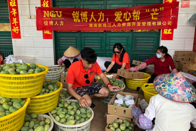 爱心助农：锐博集团来帮“芒”